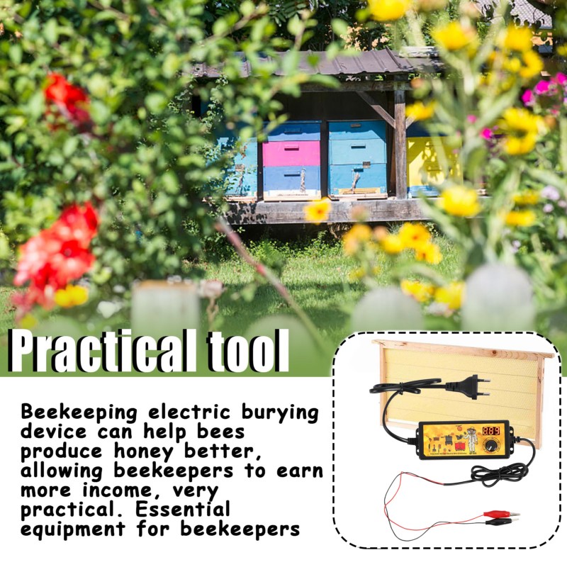 ABMS-Bienenstockrahmen für Wac – Beehive Frame Wax Bewertung und Preis